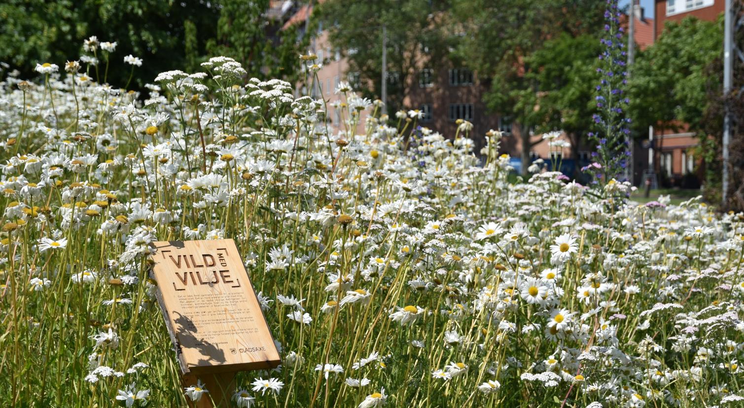 Vild Med Vilje skilt